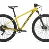 Specialized Rockhopper Comp 29 2022