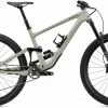 Specialized Enduro Elite 29 2020